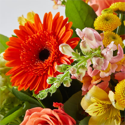Autumn Sunshine Bouquet –  Rhodes Family Price Chopper, Branson MO