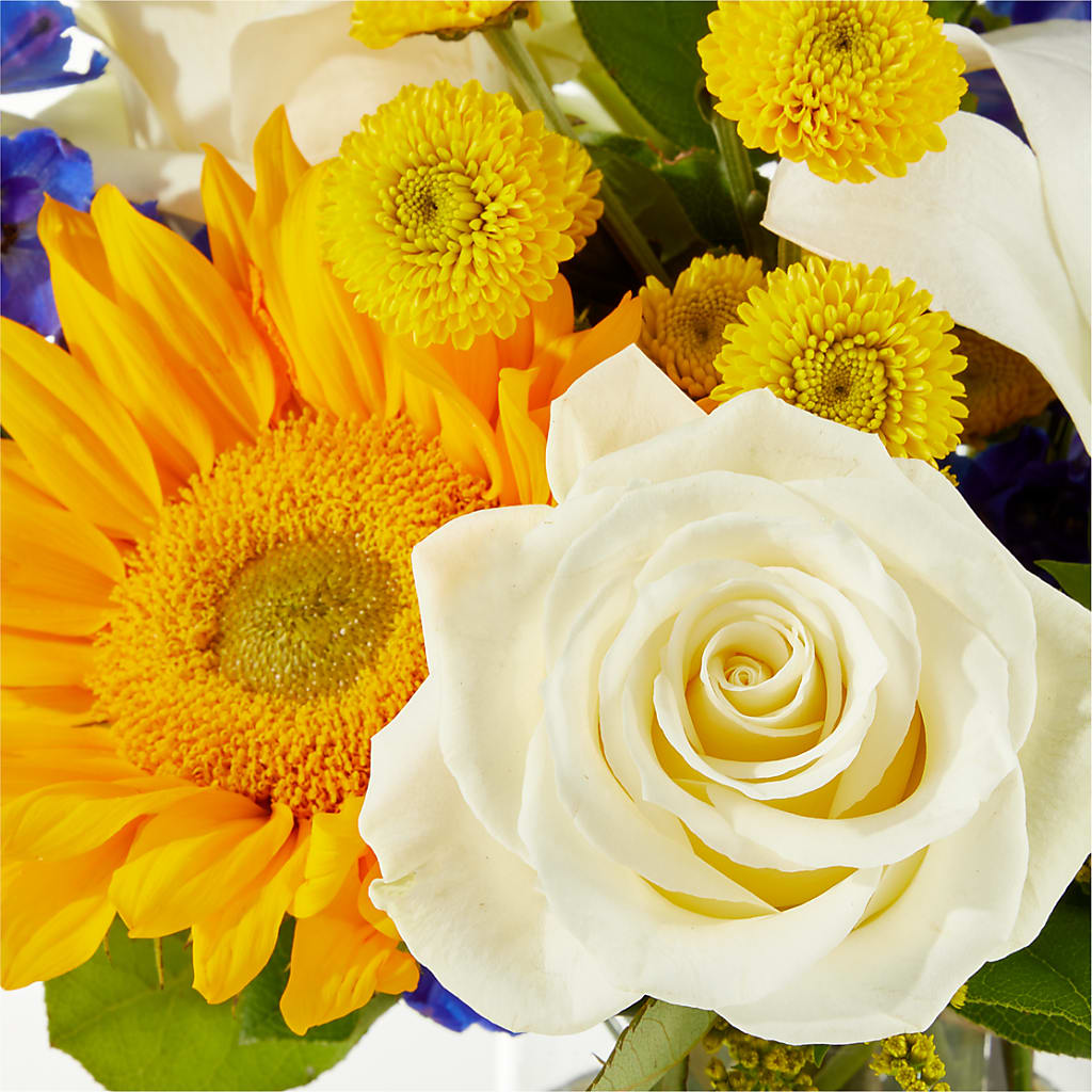 Stargazing Bouquet –  Rhodes Family Price Chopper, Branson MO