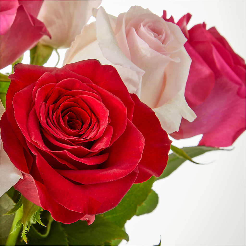 Charming Rose Bouquet –  Rhodes Family Price Chopper, Branson MO