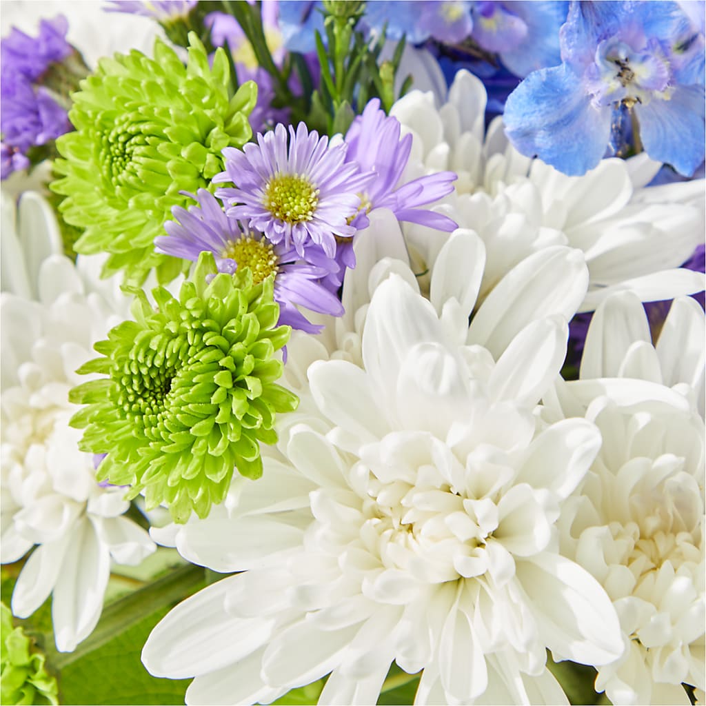 Genuine Gestures Bouquet –  Rhodes Family Price Chopper, Branson MO