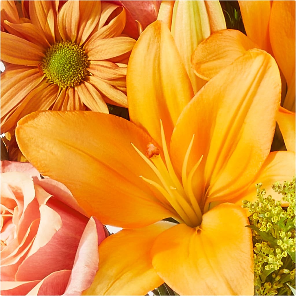 Harvest Hayride Bouquet –  Rhodes Family Price Chopper, Branson MO