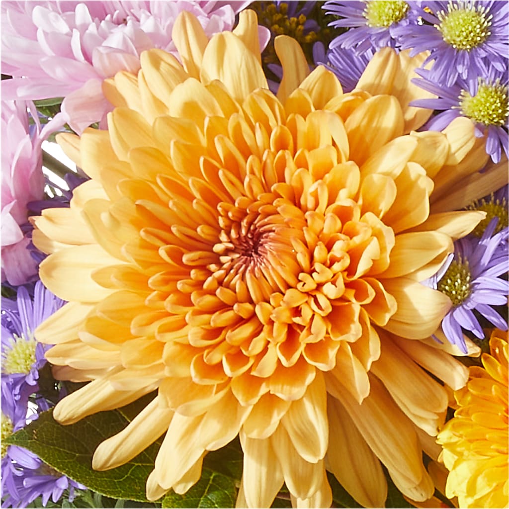 Countryside Bouquet –  Rhodes Family Price Chopper, Branson MO
