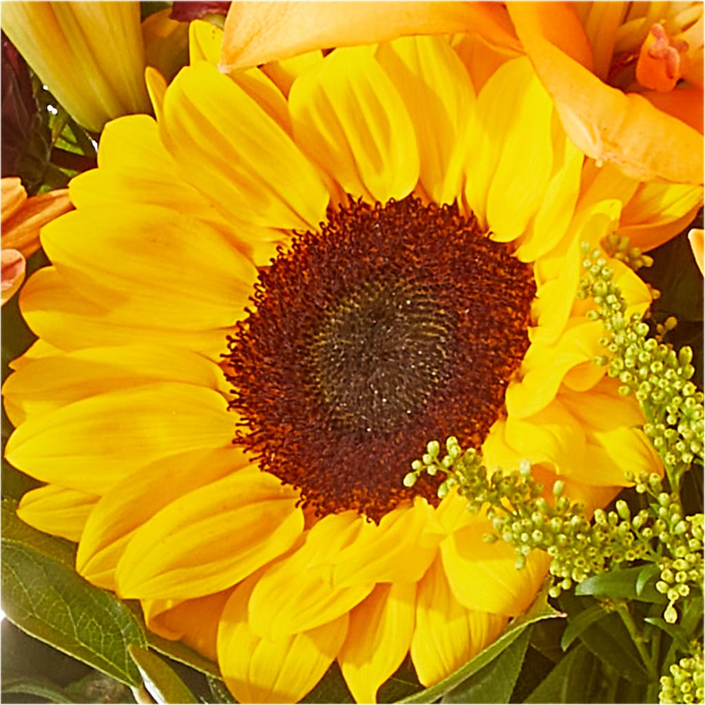 Seasons Change Bouquet –  Rhodes Family Price Chopper, Branson MO