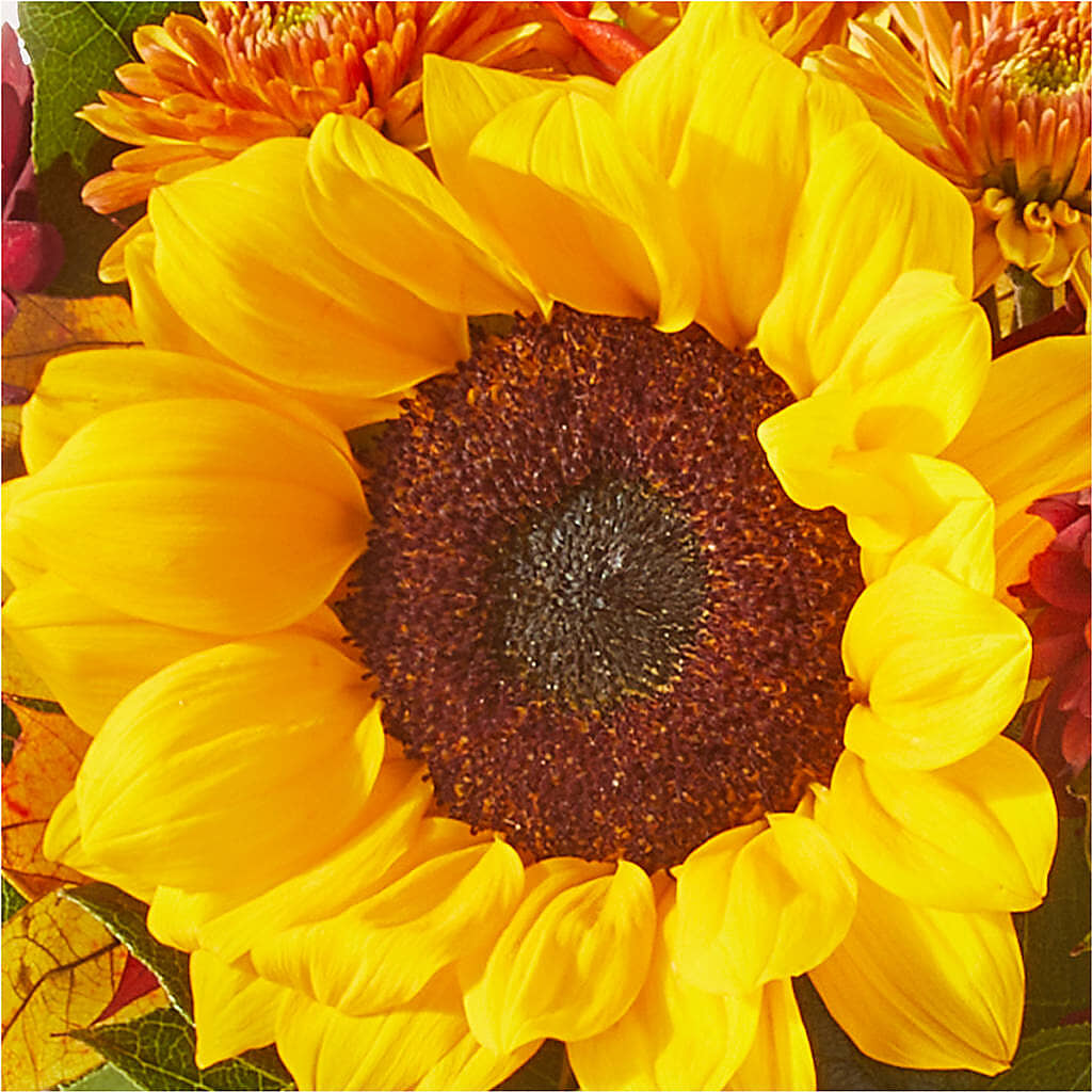 Sunny Side Bouquet –  Rhodes Family Price Chopper, Branson MO