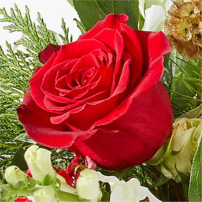 Deck the Halls Bouquet –  Rhodes Family Price Chopper, Branson MO
