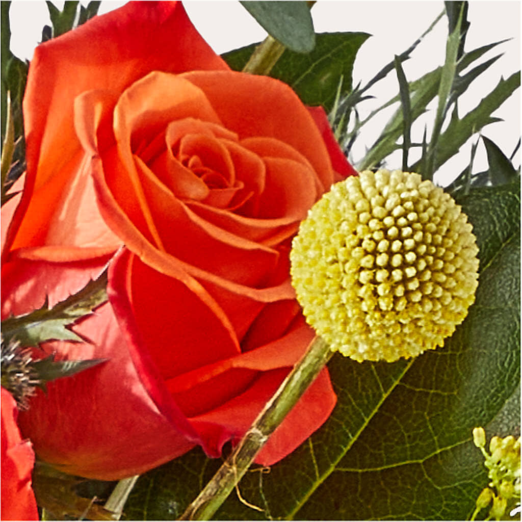 Disco Bouquet –  Rhodes Family Price Chopper, Branson MO