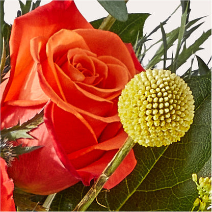 Disco Bouquet –  Rhodes Family Price Chopper, Branson MO