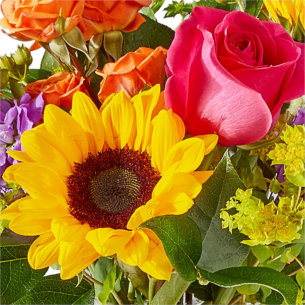 Vibrant Greetings Bouquet –  Rhodes Family Price Chopper, Branson MO