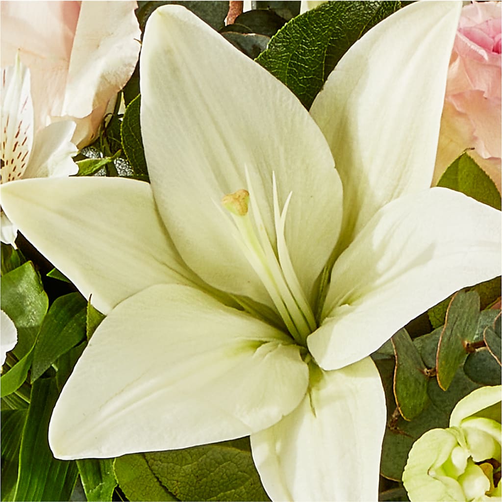 Ballet Slippers Bouquet –  Rhodes Family Price Chopper, Branson MO