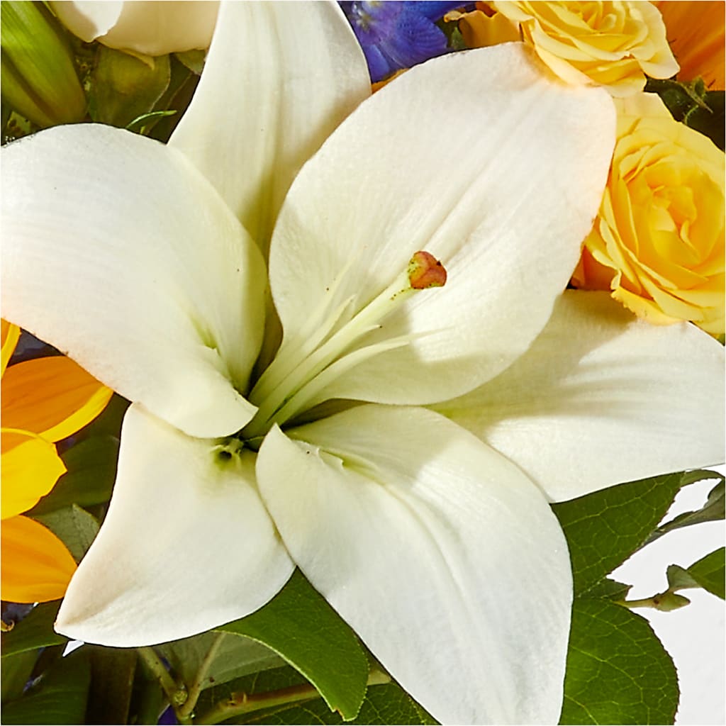 Wonderfully Sunny Bouquet –  Rhodes Family Price Chopper, Branson MO