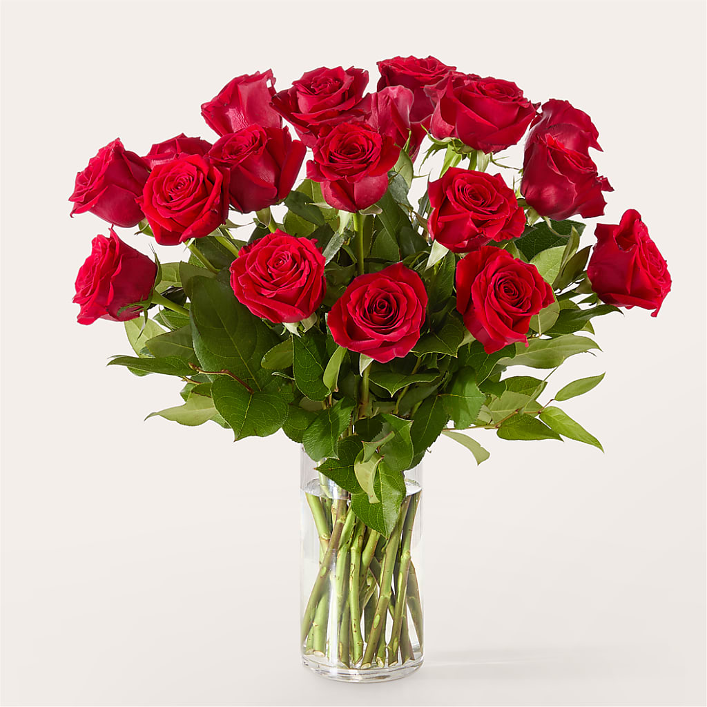 The One Red Rose Bouquet –  Rhodes Family Price Chopper, Branson MO