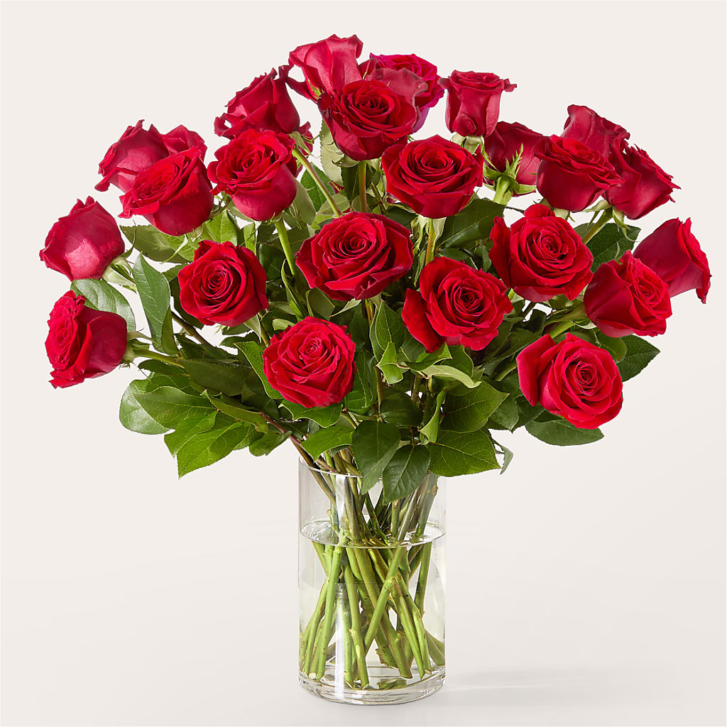 The One Red Rose Bouquet –  Rhodes Family Price Chopper, Branson MO