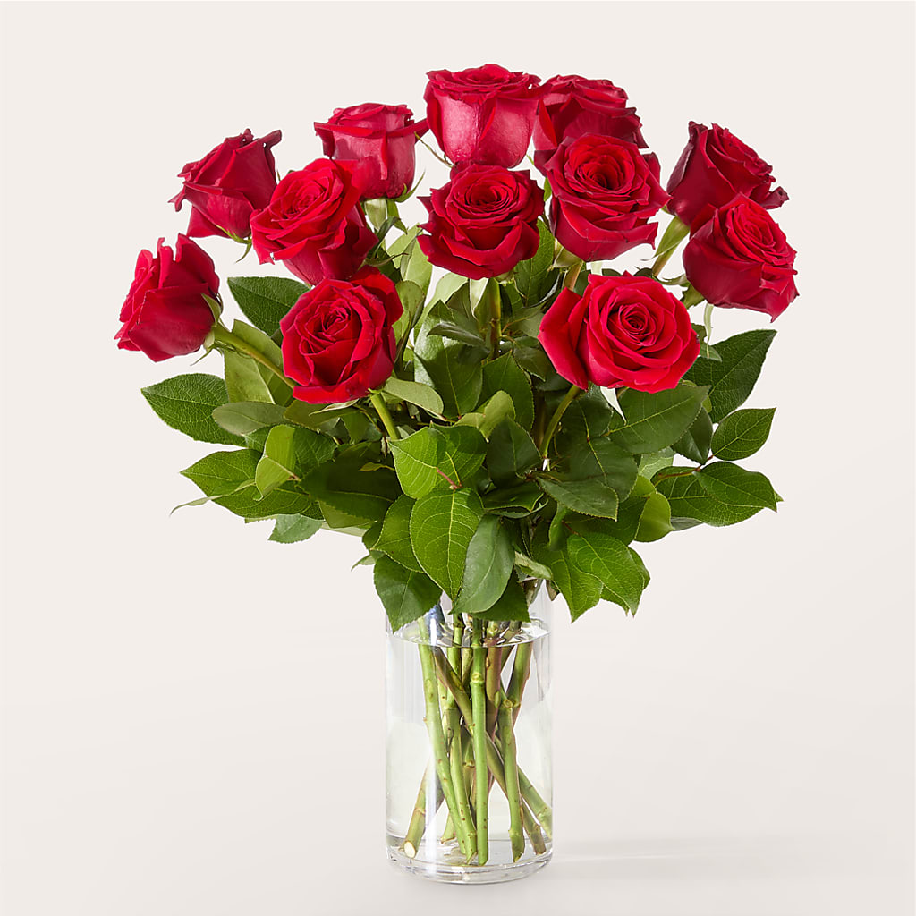The One Red Rose Bouquet –  Rhodes Family Price Chopper, Branson MO