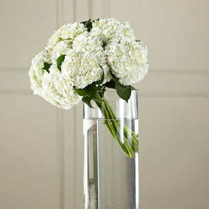 White Hydrangea Hand-Tied Bouquet –  Rhodes Family Price Chopper, Branson MO