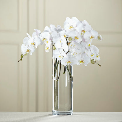 White Phalaenopsis Bouquet –  Rhodes Family Price Chopper, Branson MO