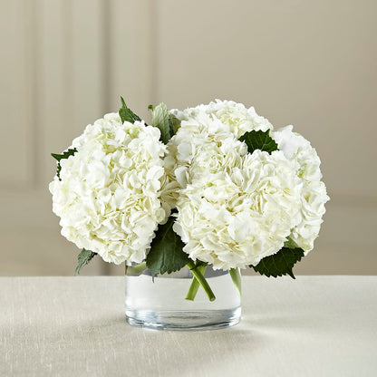 White Hydrangea Bouquet –  Rhodes Family Price Chopper, Branson MO
