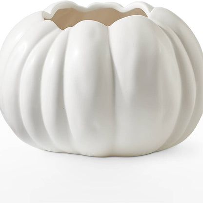 Pumpkin to Talk About Bouquet –  Rhodes Family Price Chopper, Branson MO